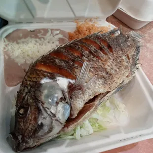 seafood, fish, food, grilled seafood, grilled fish