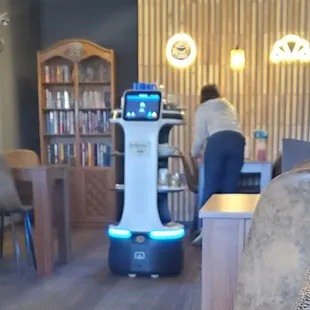 Robot busboy