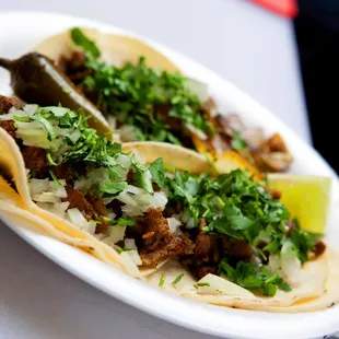 TACO HAVEN!