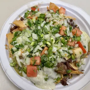 Carne Asada Nachos