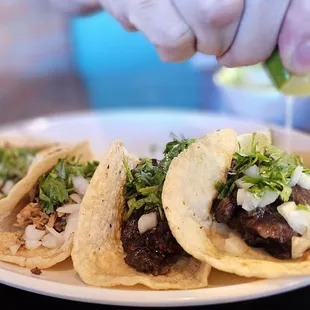 Carnitas &amp; cabeza tacos