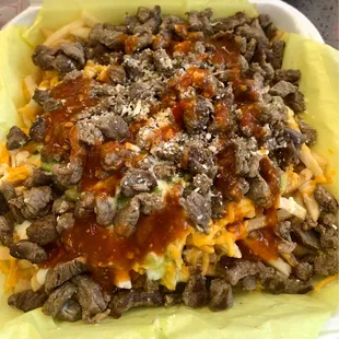 Carne asada fries