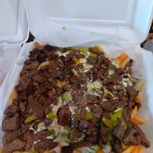 6/23/2024.  Carne Asada Fries ($17.99):  a hefty price but a hefty portion that is splurge worthy, 3.5/5 stars!