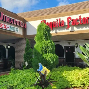 outside, sushi and sashimi