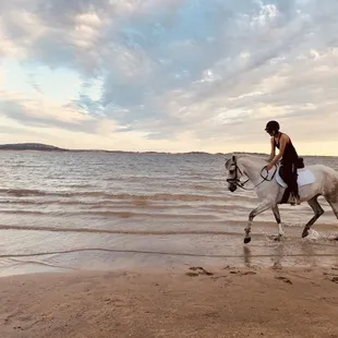 Folsom Lake trail ride down from Los Lagos Equestrian Center