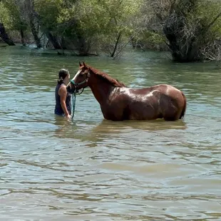 Summer time ... just minutes from the barn