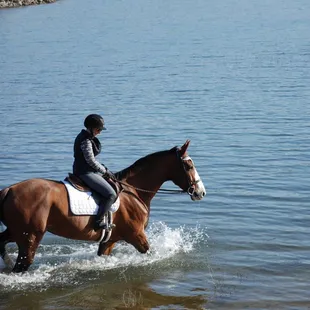 Los Lagos Equestrian Center is minutes from Folsom Lake beaches. We offer full service boarding, training, &amp; lessons.