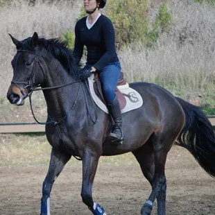 Healthy happy horses here. The best quality feed on the market.