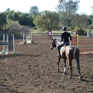 Large Jump Arena, Olympic size dressage court, covered and lighted arena, all purpose arena.