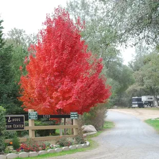 Placer County's finest horse facility. A beautiful place for you and your horse.