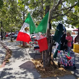 mexican flags on a tree