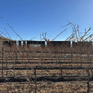 Stonehenge-like architecture