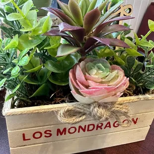 Table decorations with the word losMondragon.  .