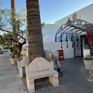 a bench and palm trees