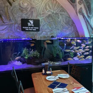 Nice aquarium