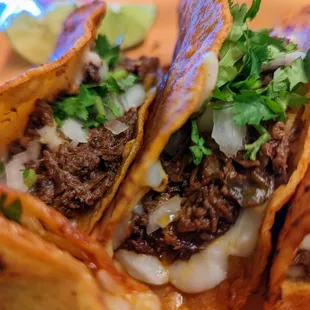 Quesabirria tacos