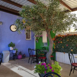 Nice covered patio with real plants - isolated from the creepy foot traffic that floods Zuni just outside the fenced parking lot