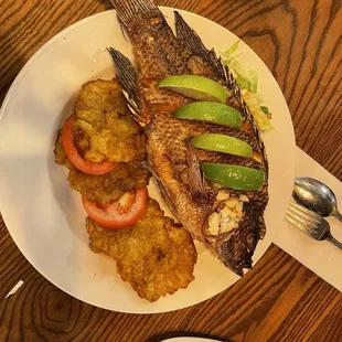 food, oysters and mussels