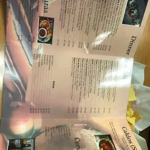 a hand holding a menu