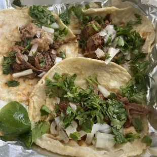 Barbacoa Taco