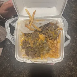 Carne Asada Fries