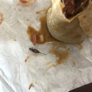 Carne Asada Burrito