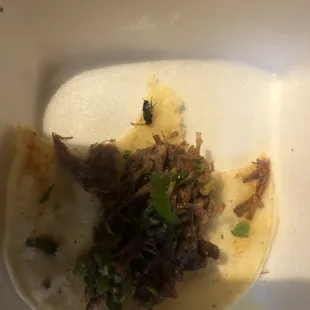 a taco in a styrofoam container