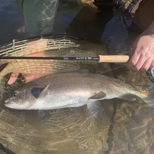 Happy Customers New Personal Best