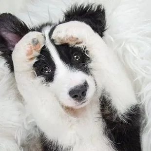 Can't wait to eat again!