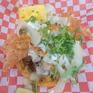 Vampiro de Al pastor