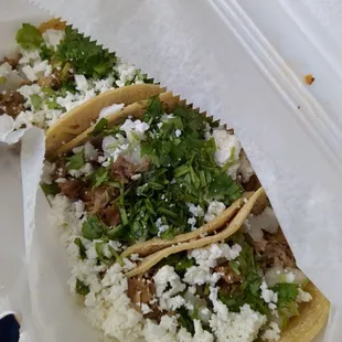 Carnitas Tacos
