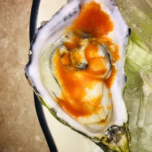 Dressed oyster