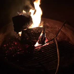 Chilling by the fire