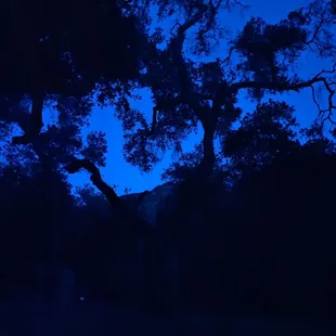 Beautiful nighttime sky