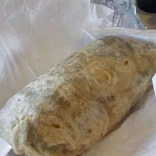 Burrito Especial