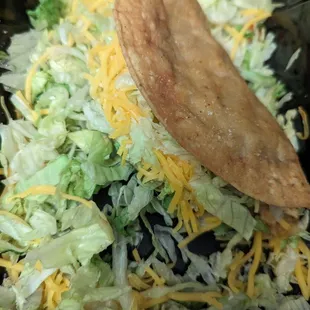Is it Taco or Salad Tuesday!? Lol