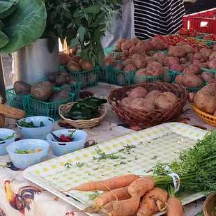 a variety of vegetables