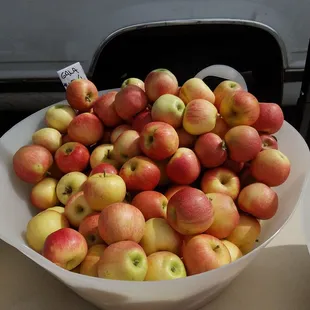 Gala apples