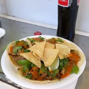 5 chicken tacos with red sauce. 1 classic Coke.