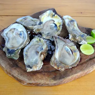 Fresh Oysters