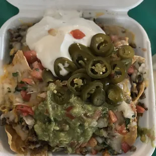 Asada nachos