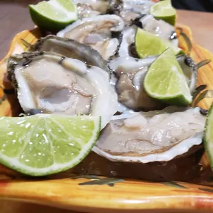 food, mussels, oysters and mussels, shellfish, oysters
