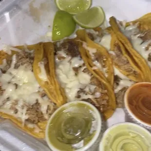 Carnitas Tacos con queso!