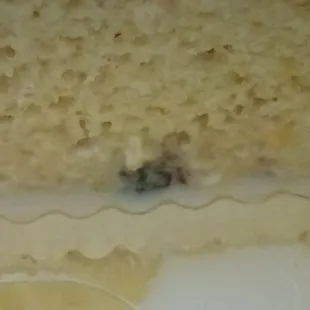 Mold on tres leches cake slice
