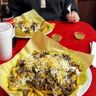 Carne Asada Fries