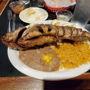 Whale on a platter ( fried catfish, avocado,tomatoes,  rice and refried beans.