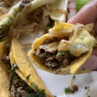 With the sautéed onions and green salsa. So tender and flavorful!