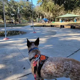 Losco Regional Park