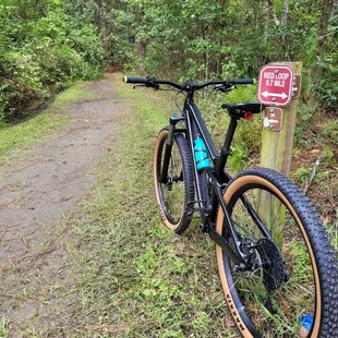 Nice flat loop trail
