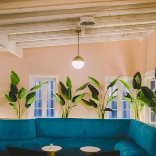 a living room with a blue couch and potted plants